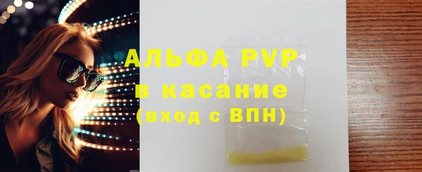 прущие грибы Абинск