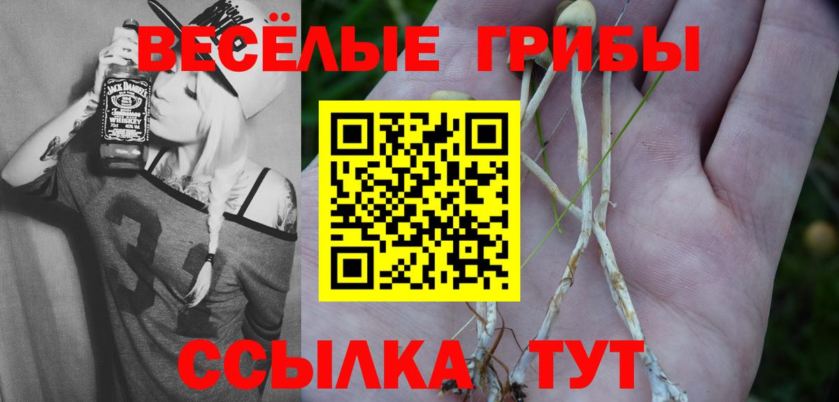 Псилоцибиновые грибы MAGIC MUSHROOMS Тобольск